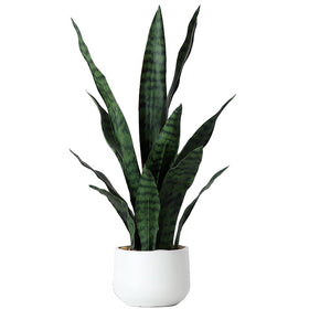 Beebel 22 inch snake plant in black pot for home or office decor, maintenance-free.