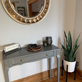 Beebel snake plant in black pot enhances any space with ready decor.