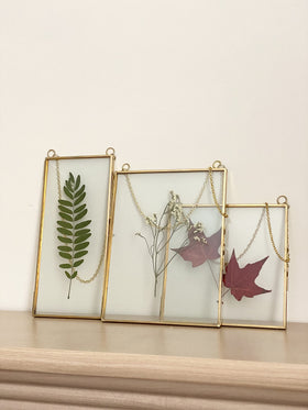 Beedecor gallery display frame for pressed botanicals and keepsakes.