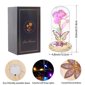 Beferr crystal rainbow glow inside a glass dome provides ambient lighting.