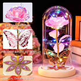 Beferr rose in a protective dome, gift-ready for birthdays.