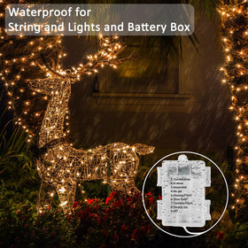 Beieverluck copper wire LED string lights bend easily for creative arrangements.