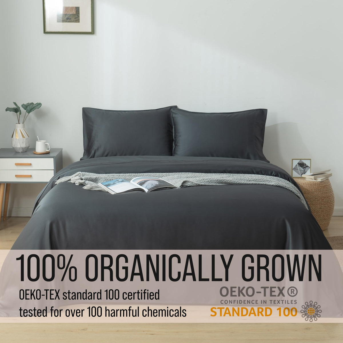  Bella Coterie OEKO-TEX 100 certification label displayed