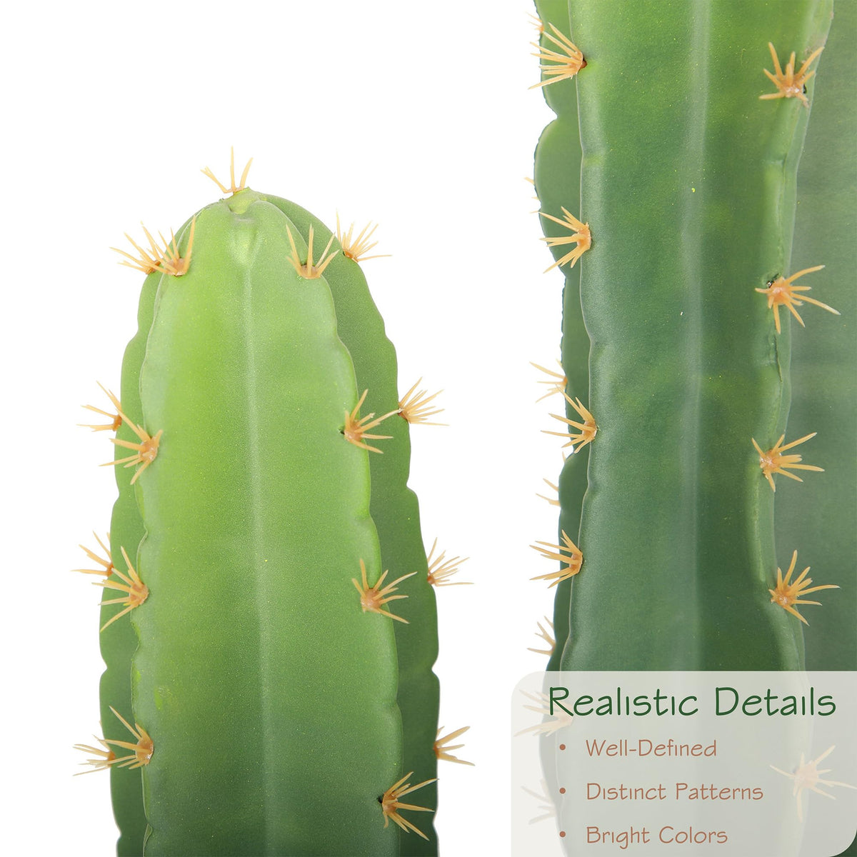 bellacat close-up shows ribs and spines for realistic texture