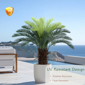 Bellacat cycad tree trunk texture showing natural bark for realism indoors or on porch.