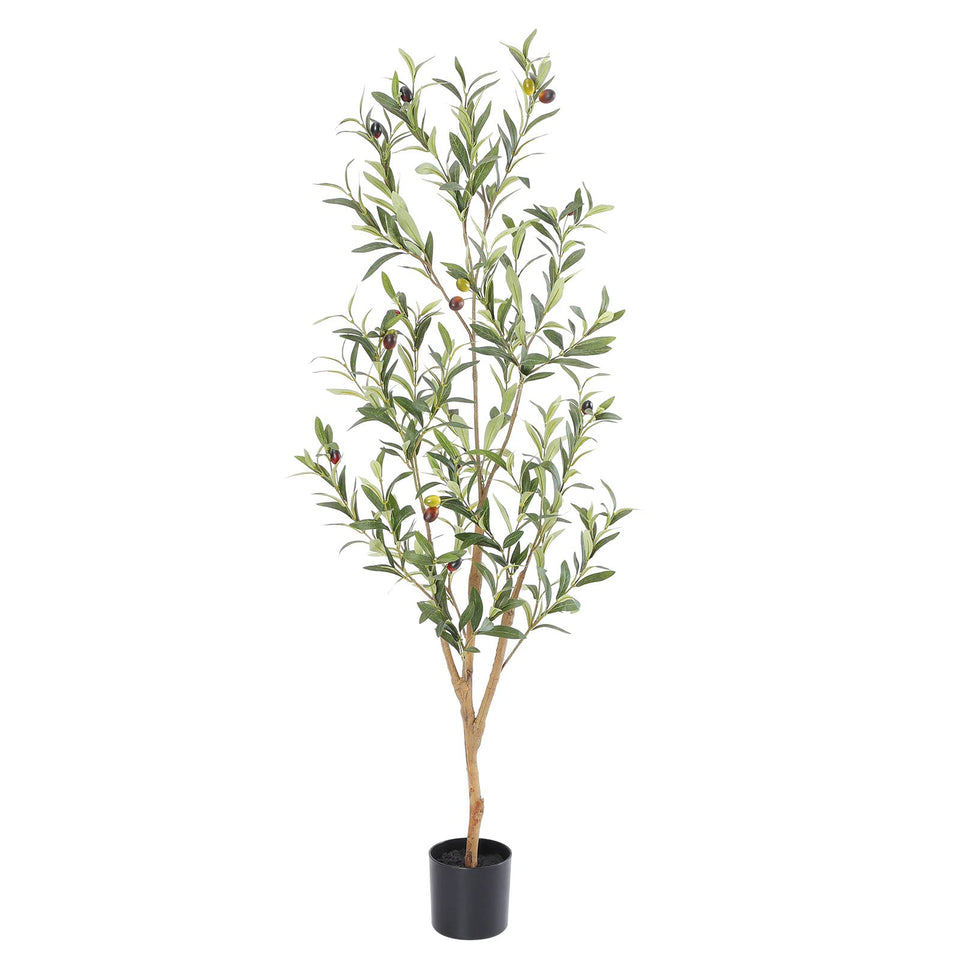 Bellacat faux olive tree with natural wood trunk for lifelike indoor greenery.