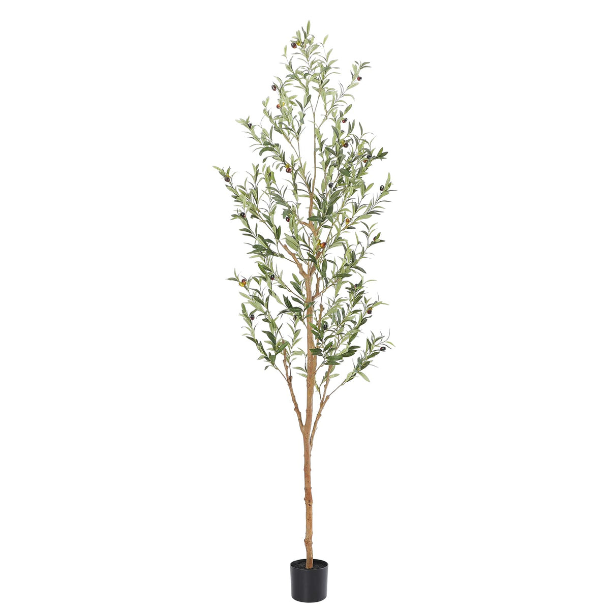 Bellacat faux olive tree with wood trunk adds lifelike height for elegant welcomes.