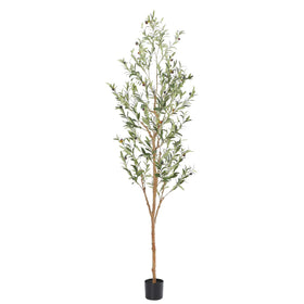 Bellacat faux olive tree with wood trunk adds lifelike height for elegant welcomes.
