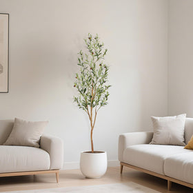 Suitable for indoor or covered outdoor spaces with realistic presence.