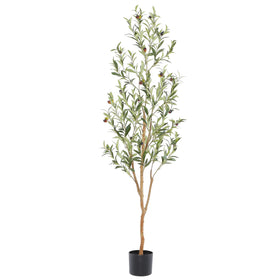 Bellacat faux olive tree with natural wood trunk for a lifelike focal point.