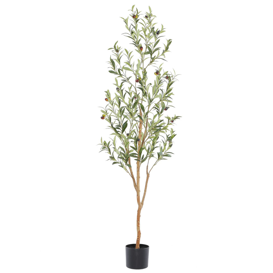 Bellacat faux olive tree with natural wood trunk for a lifelike focal point.