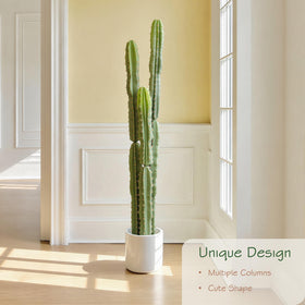 bellacat maintenance-free cactus offers year-round greenery with no care