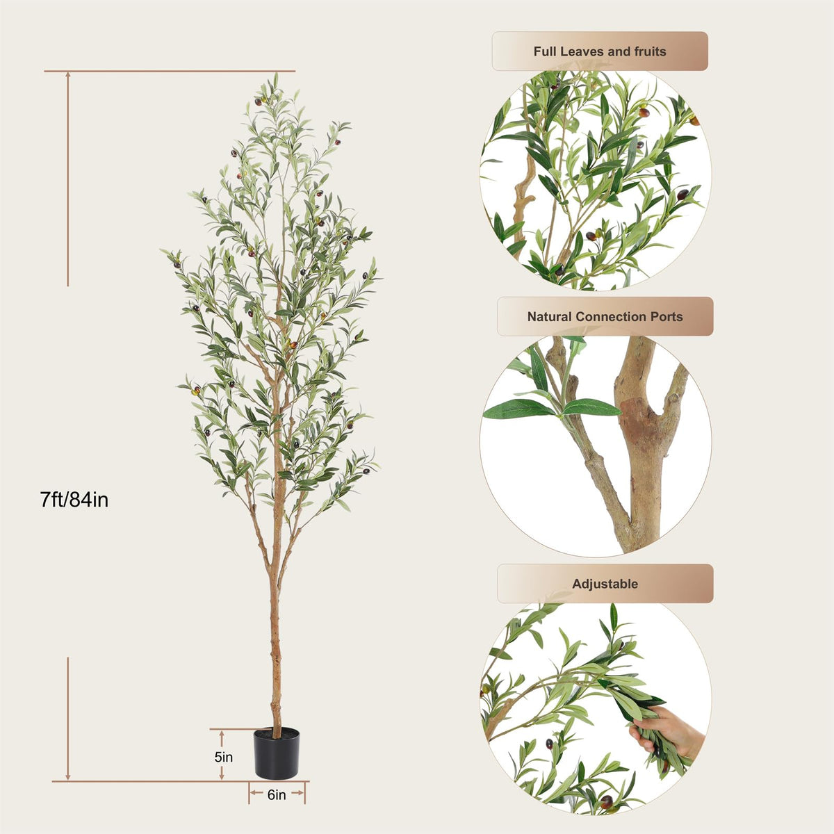 Bellacat olive tree, modern design, complements various styles and spaces.