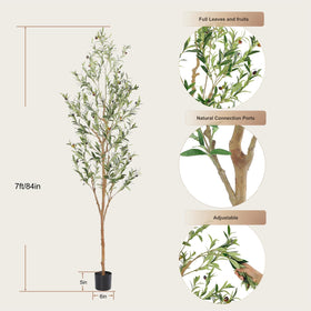 Bellacat olive tree, modern design, complements various styles and spaces.