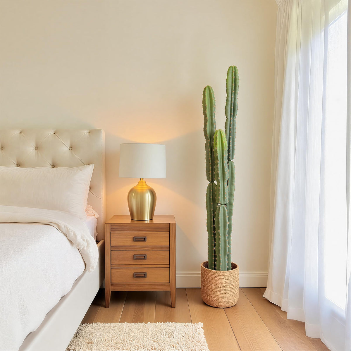 bellacat minimalist cactus decor for modern homes and offices