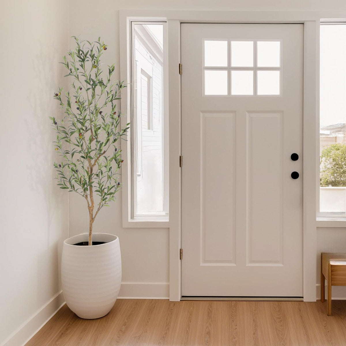 Bellacat olive tree fits indoor and outdoor spaces with modern style