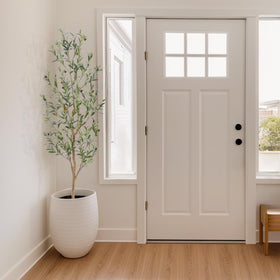 Bellacat olive tree fits indoor and outdoor spaces with modern style