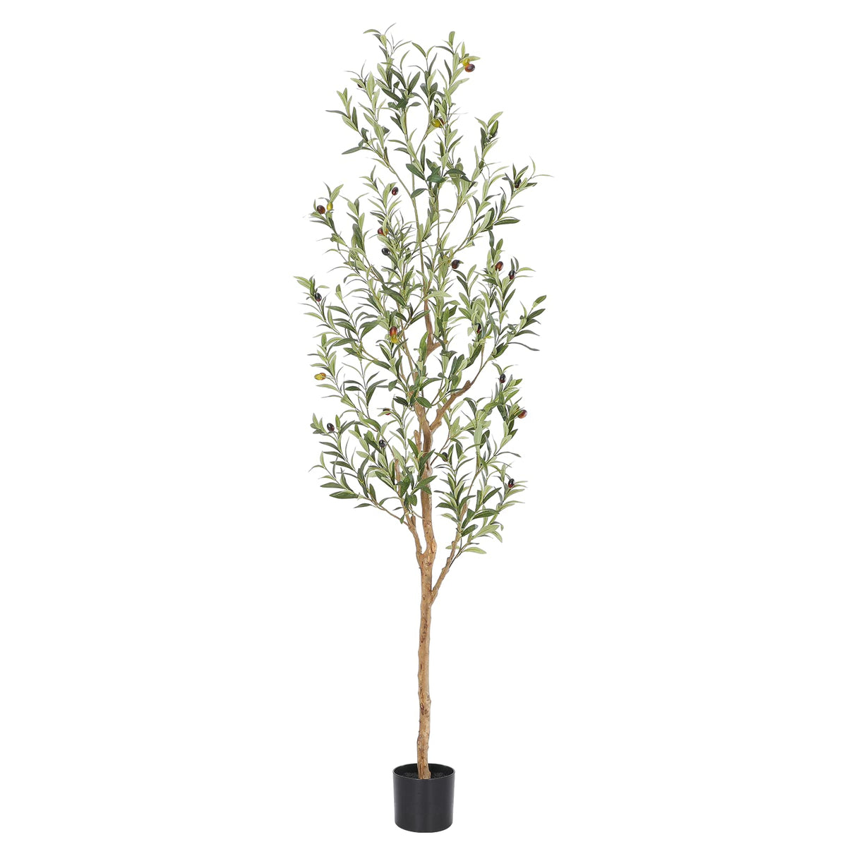 Bellacat 6ft olive tree with natural wood trunk for authentic room decor