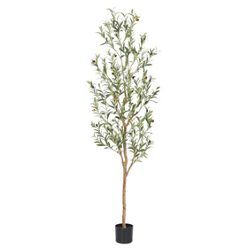 Bellacat 6ft olive tree with natural wood trunk for authentic room decor