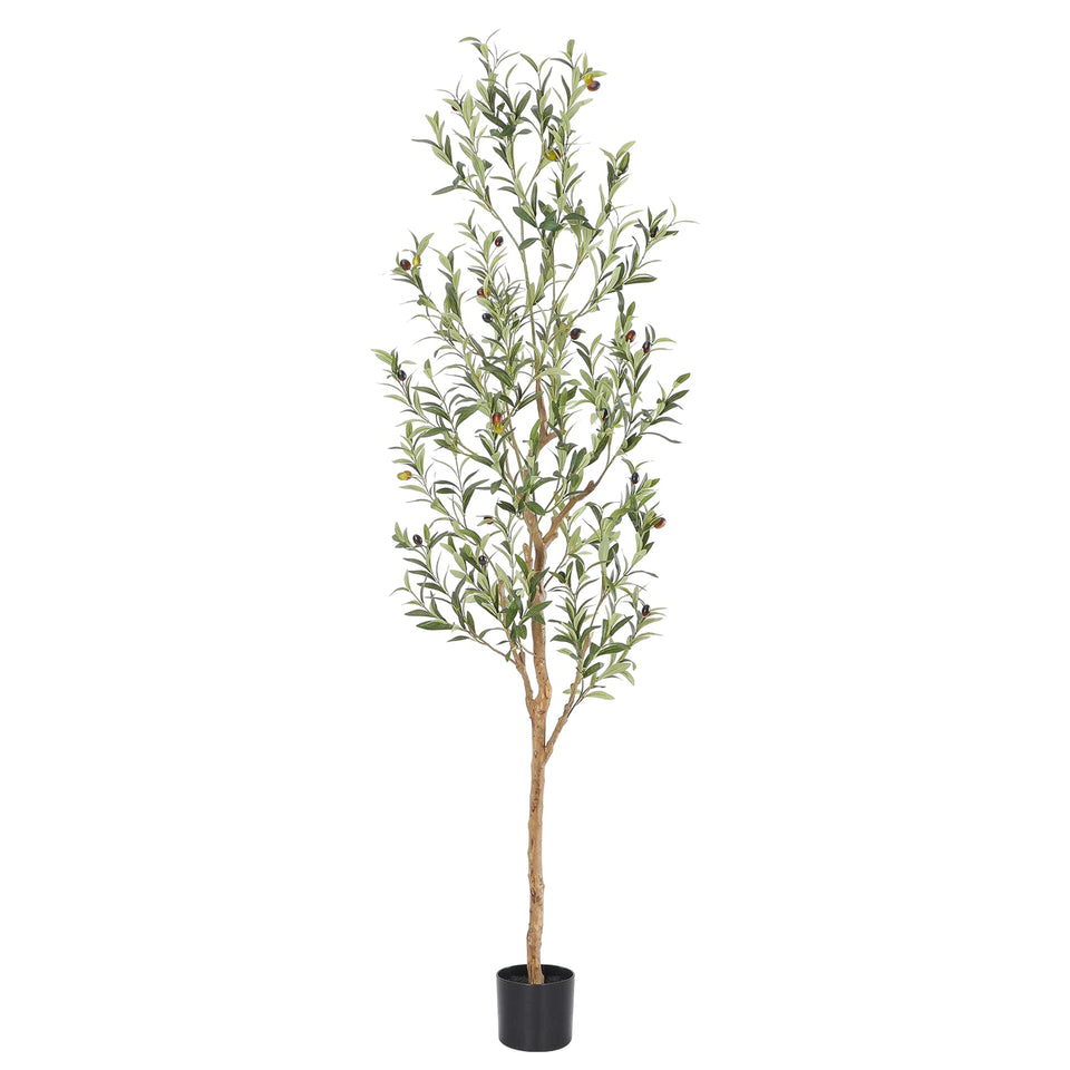 Bellacat 6ft olive tree with natural wood trunk for authentic room decor