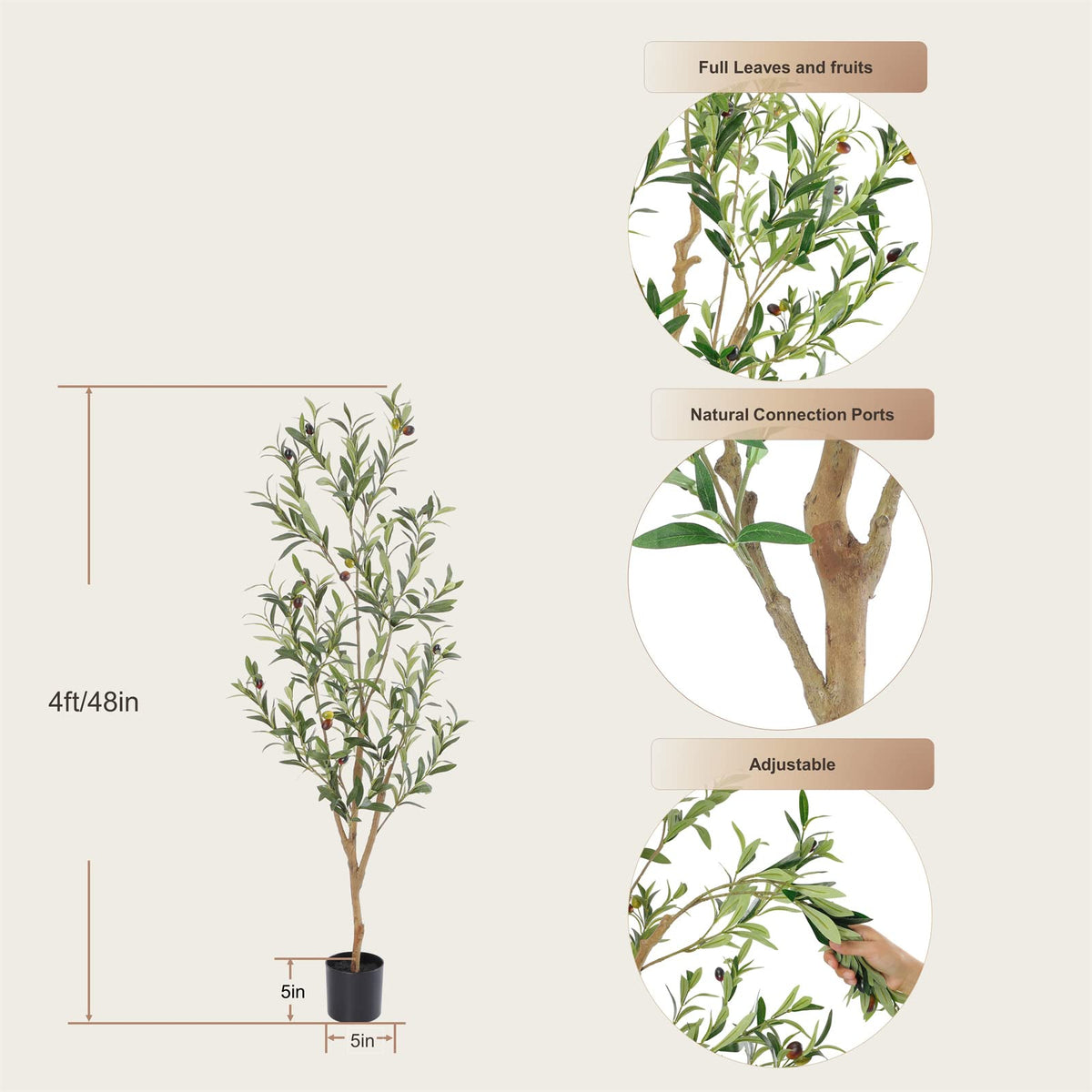 Bellacat olive tree requires no watering for simple upkeep.