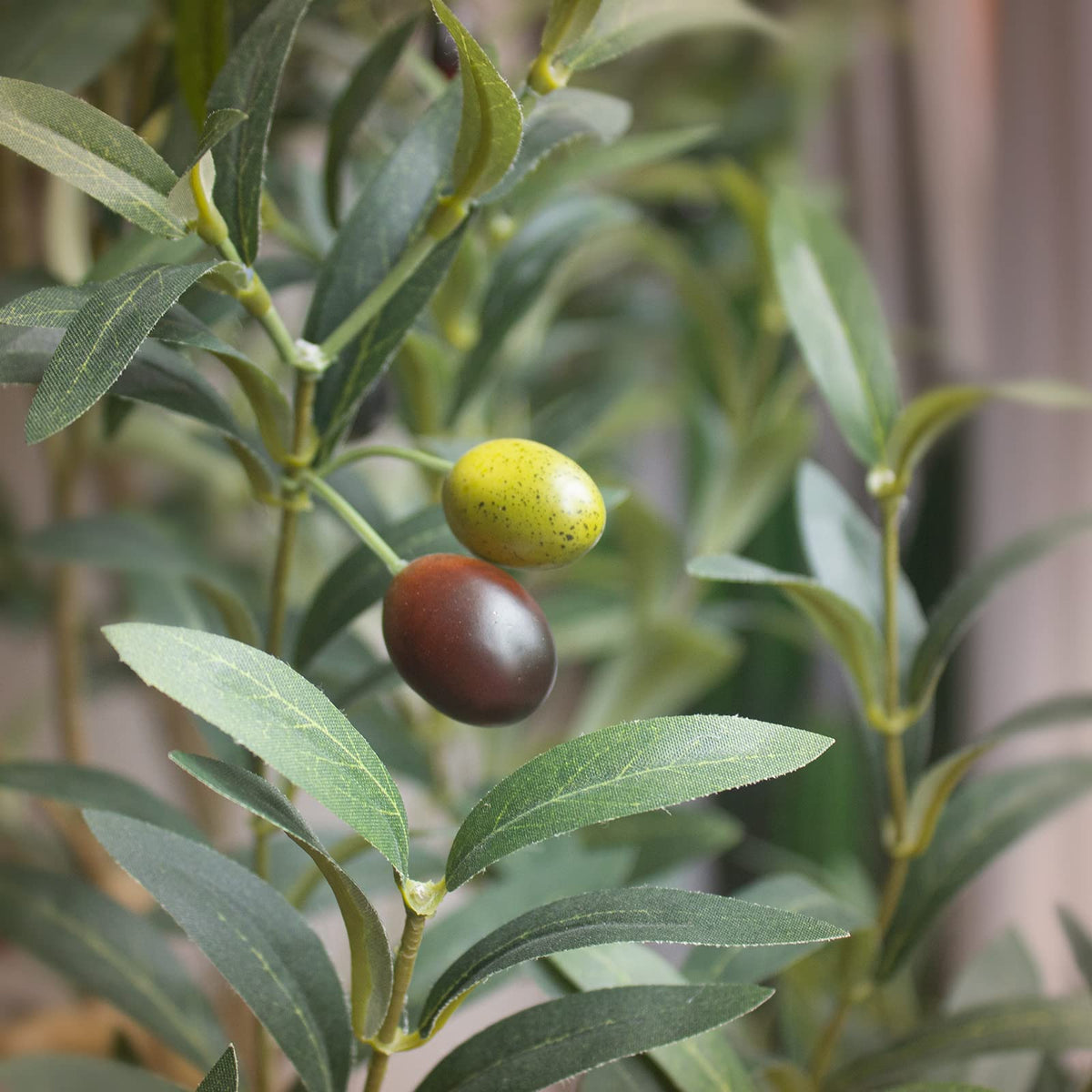 Bellacat olive tree with silk leaves for year-round beauty.