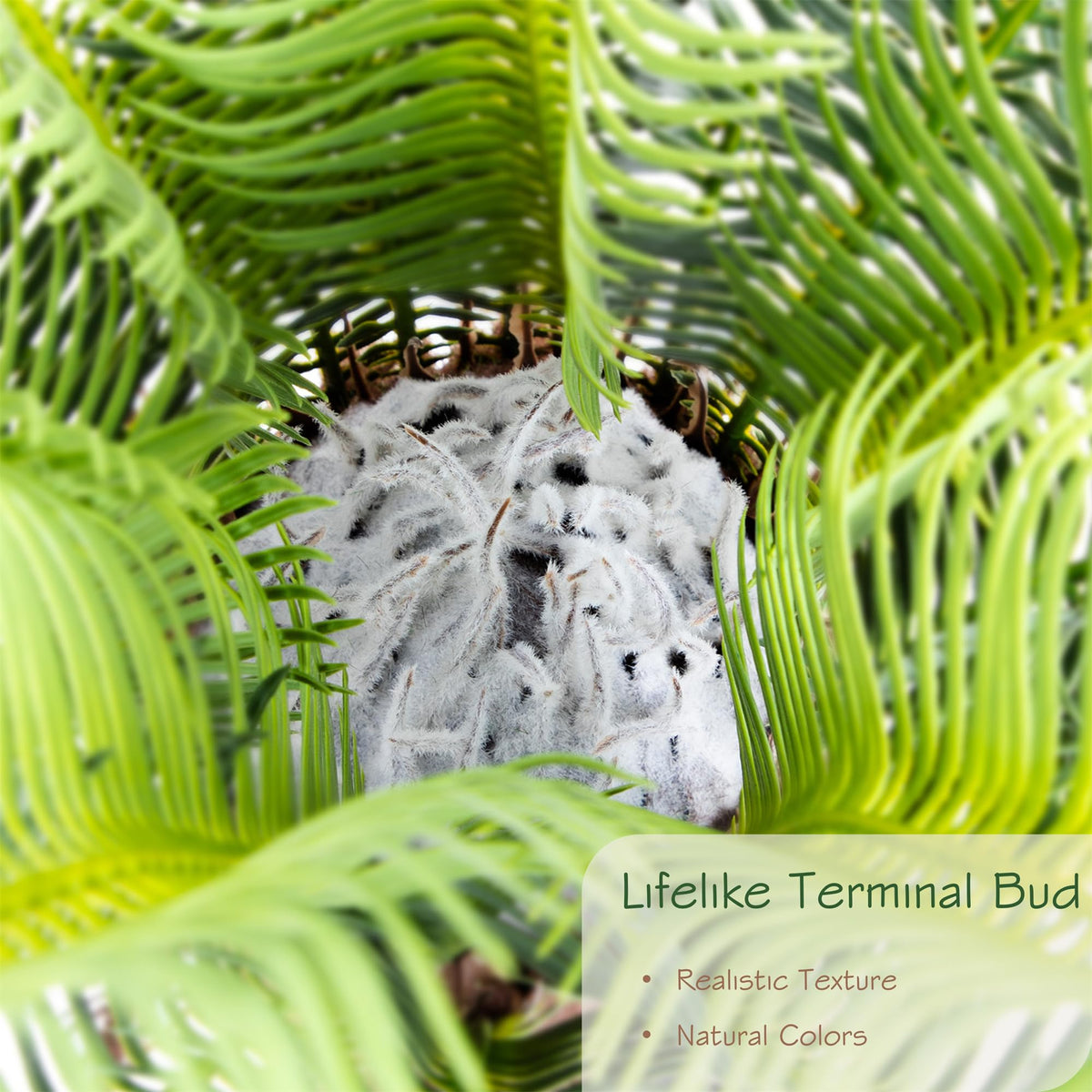 Bellacat sago palm tree pot base providing sturdy support for outdoor setups.