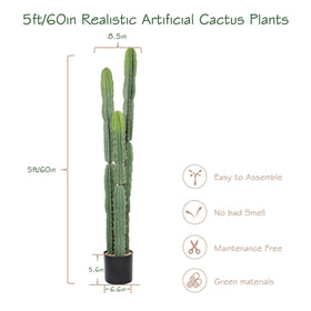 bellacat sturdy black pot for stable support of the large cactus