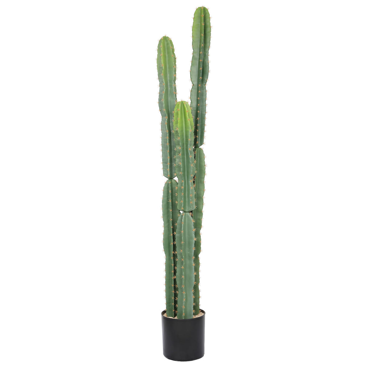 bellacat UV-resistant 5ft cactus in a black pot for outdoor durability