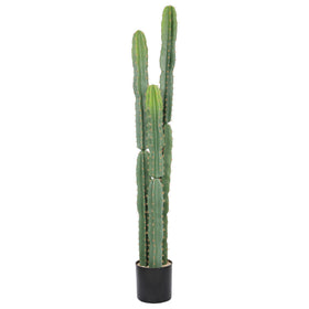 bellacat UV-resistant 5ft cactus in a black pot for outdoor durability