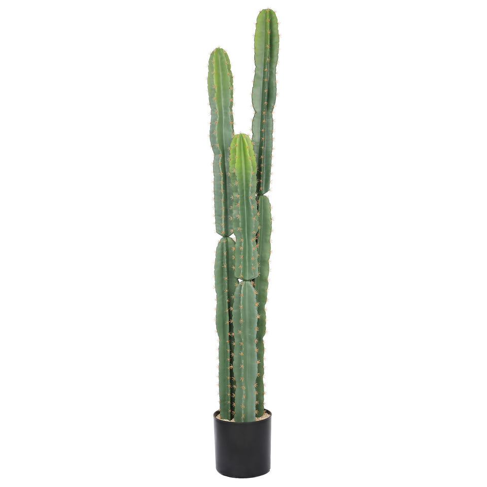 bellacat UV-resistant 5ft cactus in a black pot for outdoor durability