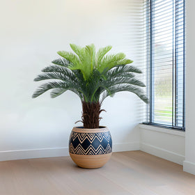 Bellacat UV-resistant color maintenance shown by vibrant leaves in sunlight.