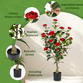 Berdkaba camellia tree 3ft red blooms enhances office decor with vibrant accents