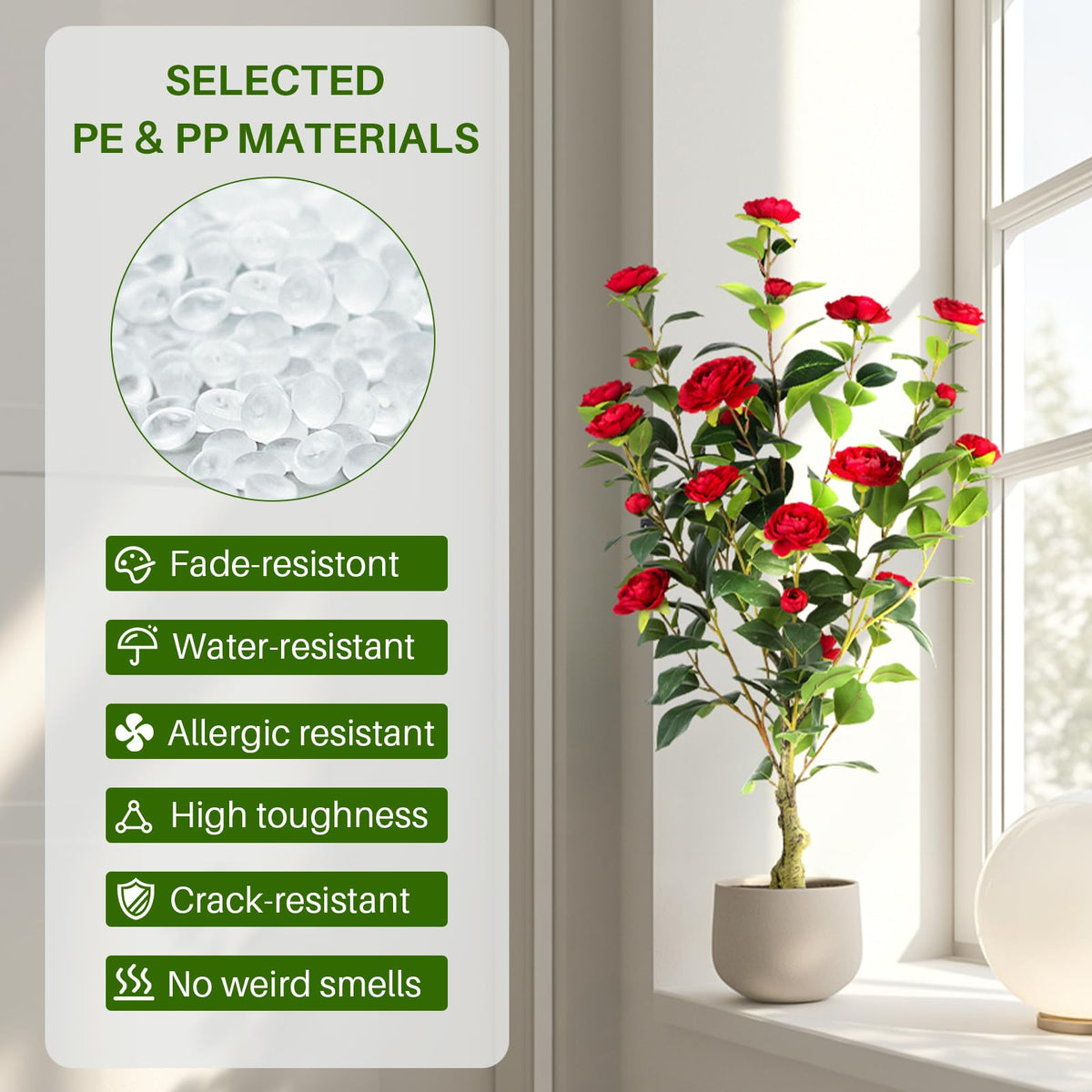 Berdkaba camellia tree on living room display highlighting vibrant color