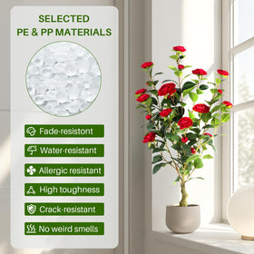 Berdkaba camellia tree on living room display highlighting vibrant color