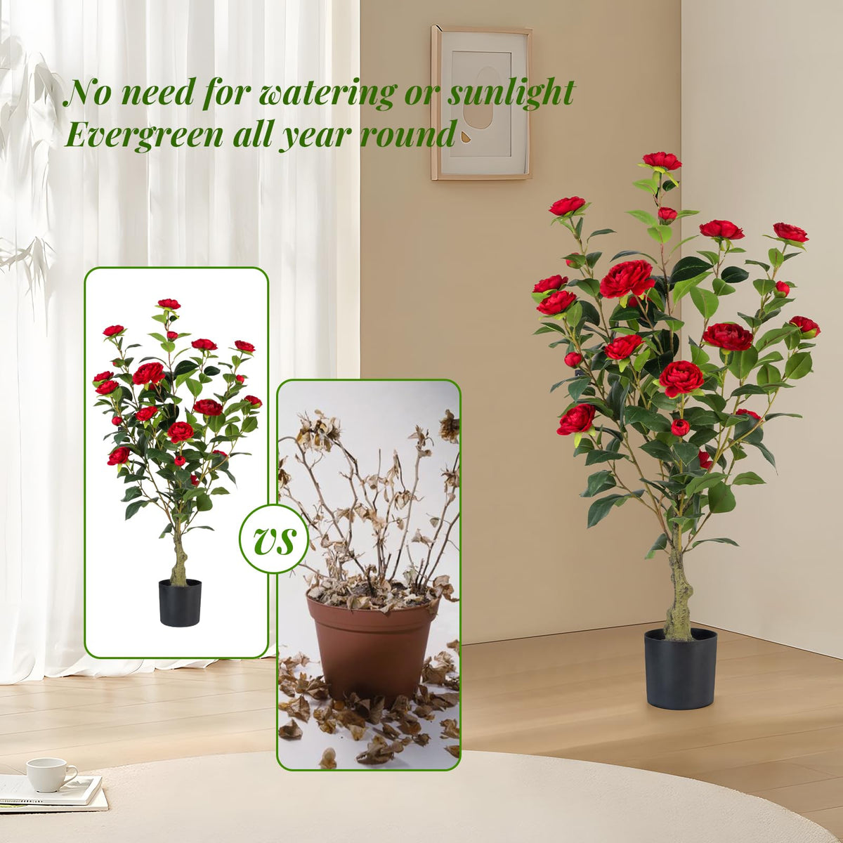 Berdkaba camellia tree for office decor adding elegance with minimal effort