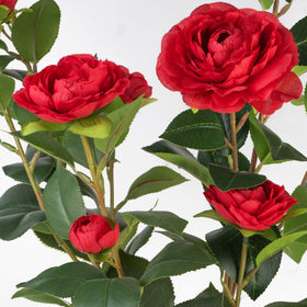 Berdkaba 2-pack camellia trees arranged for hallway display