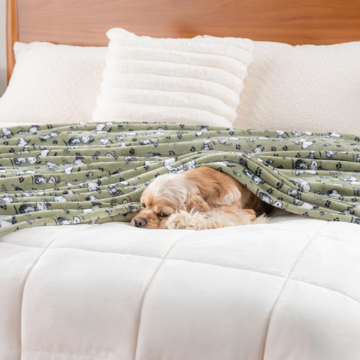 Care instructions shown for Berkshire Blanket Peanuts VelvetLoft throw in machine wash.