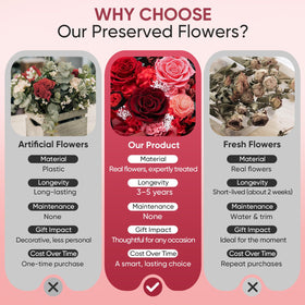 Bessol durable preserved flowers require no watering