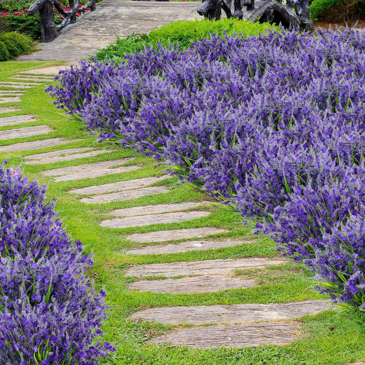 Besteek 20-pack lavender bundles suitable for weddings and festive decor.