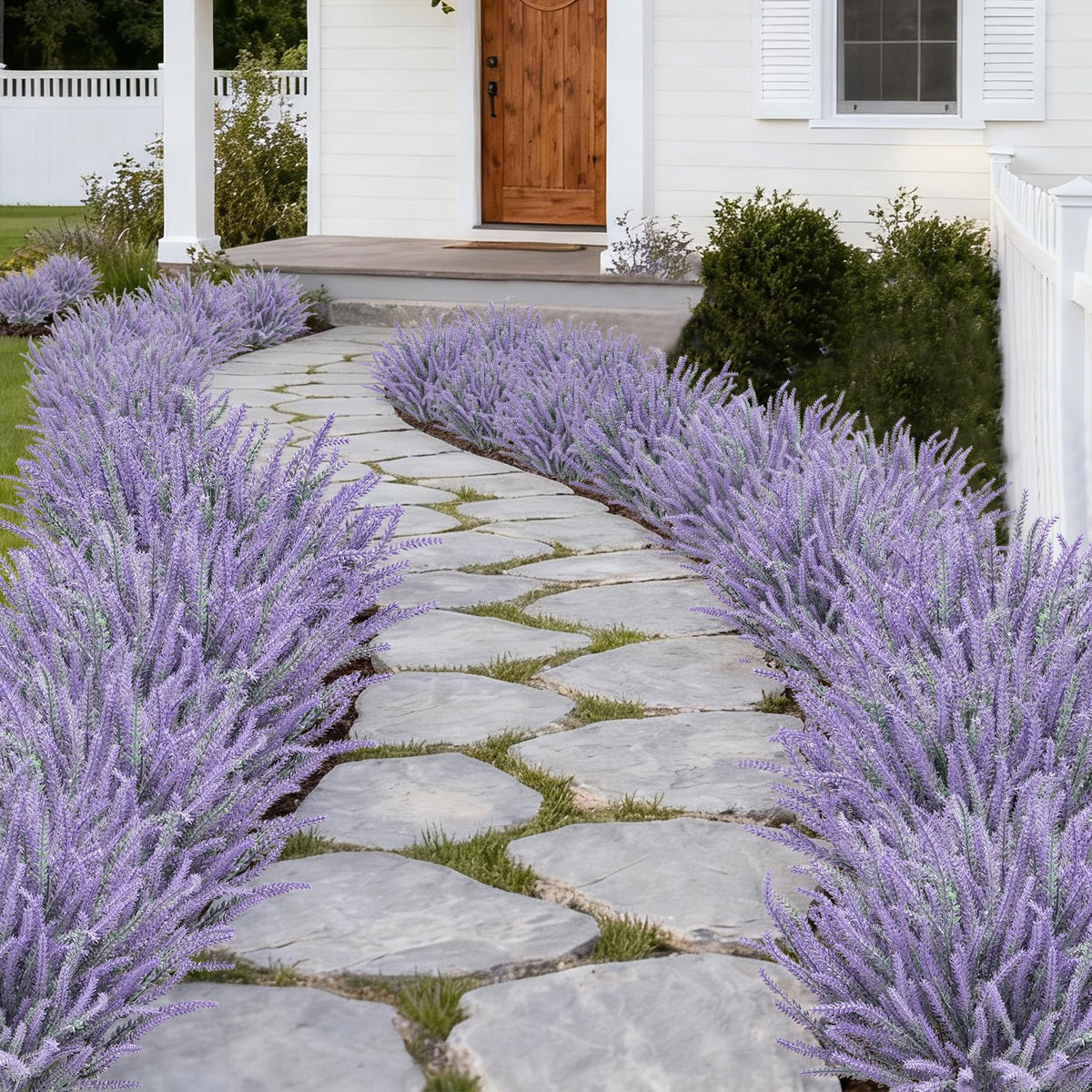 Besteek lavender flowers for indoor outdoor display on patios and balconies.