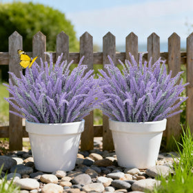 Besteek lavender flowers window box display adds a fresh focal point.