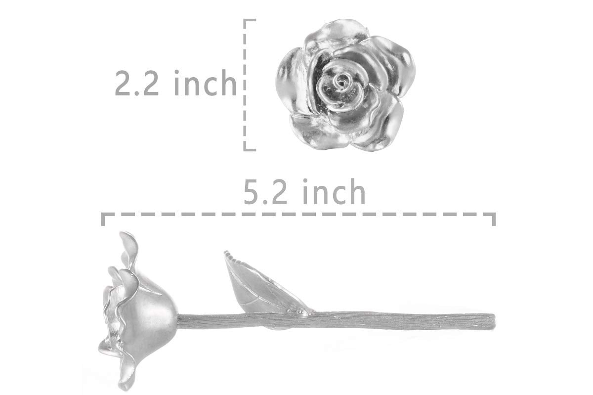 BESZONE tin rose in sturdy tubular gift box ensures safe gifting.