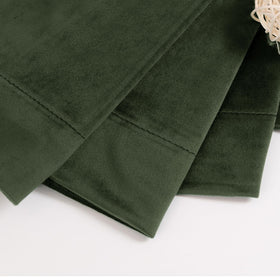 BGment living room setup with olive green velvet curtains enhancing decor