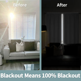 BGment two-panel set with room-darkening blackout backing for privacy.