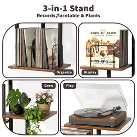 Top platform of Bikoney stand showing stable surface for turntables and records.