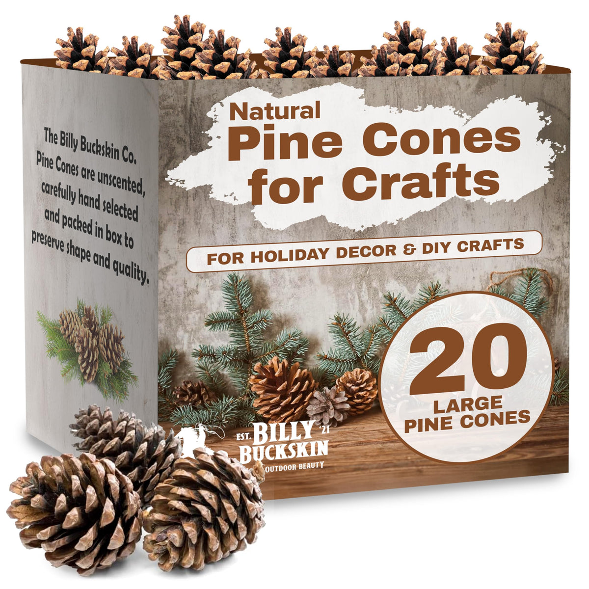 Billy Buckskin pine cones collection shows natural texture for rustic crafts.