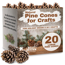 Billy Buckskin pine cones collection shows natural texture for rustic crafts.
