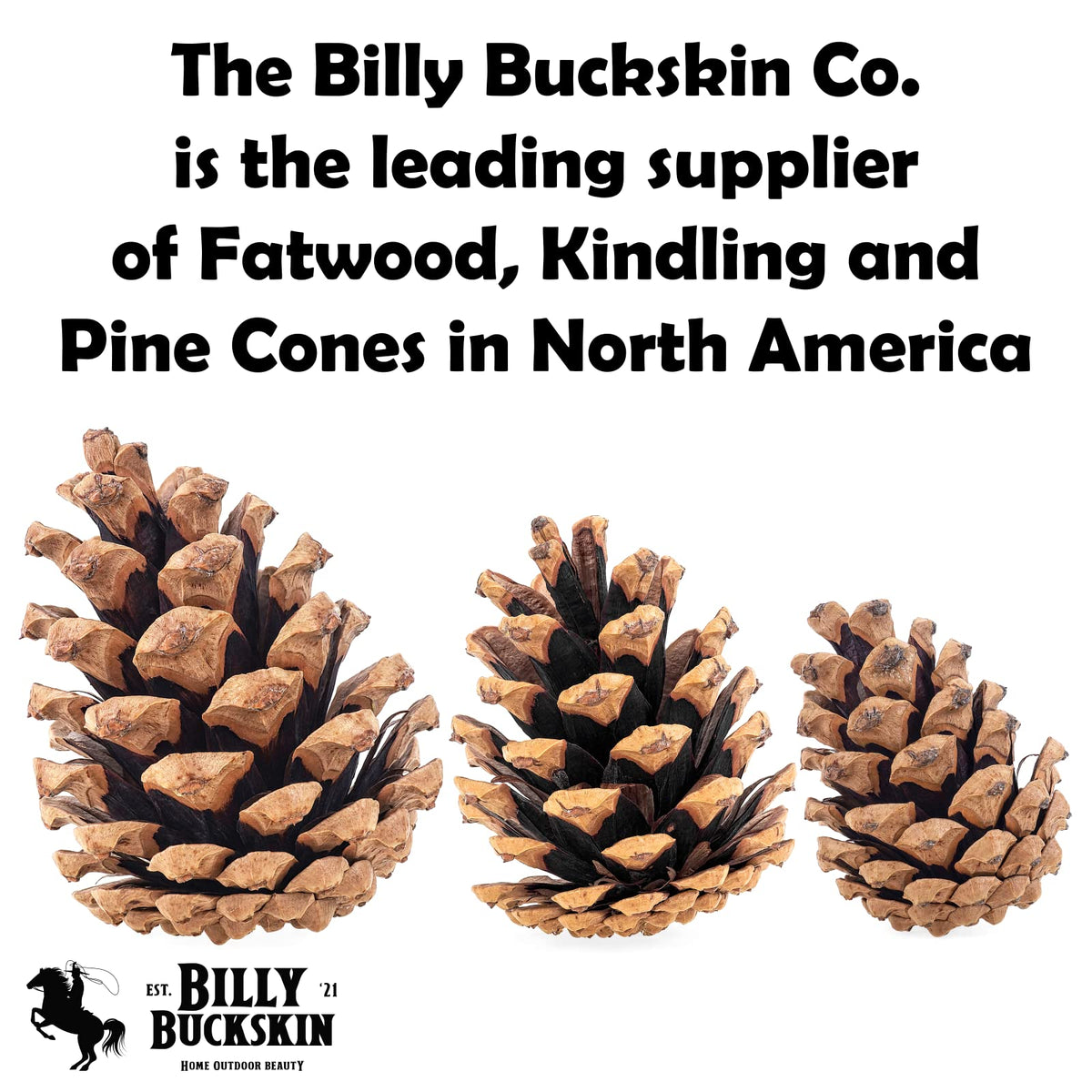 Billy Buckskin pine cones fire starter for cozy indoor warmth.