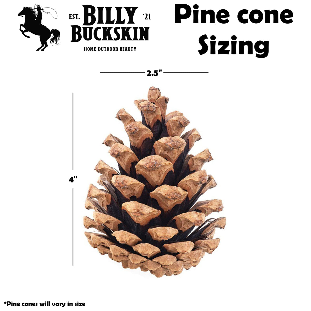 Billy Buckskin pine cones on table decor setup enhance warm, natural centerpieces.